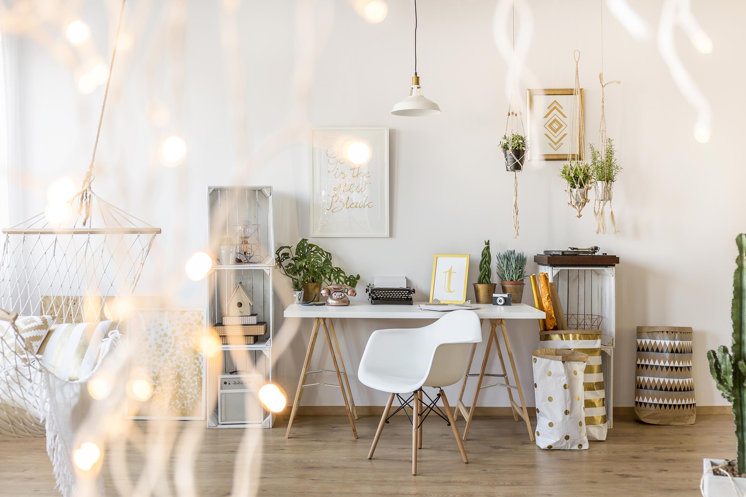 HOUSE AND APARTMENT INSURANCE: GRAWE HOME Living room: desk and chair, swing in the middle of the living room, a lot of plants eveywhere