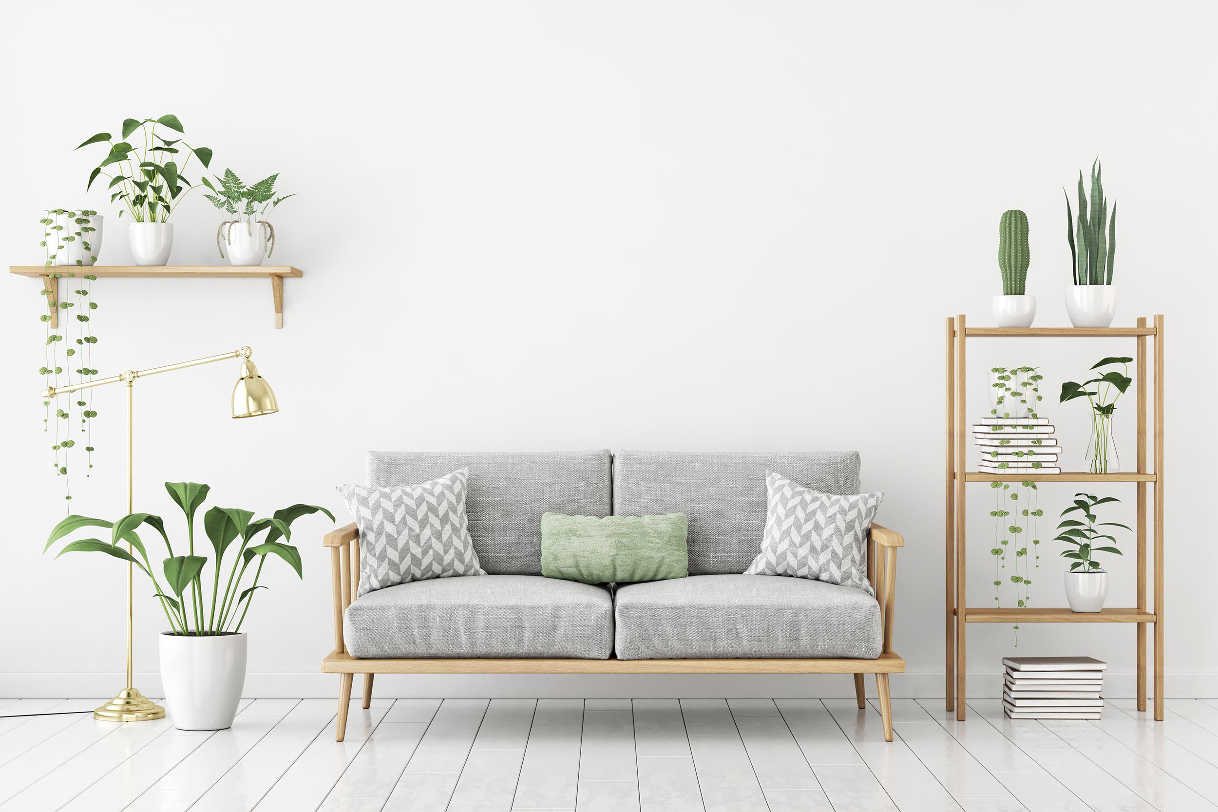 GRAWE House and Home Living room: a couch and some plants on shelves
